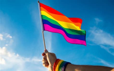 día contra la homofobia y transfobia 2020 por qué es el 17 de mayo grupo milenio
