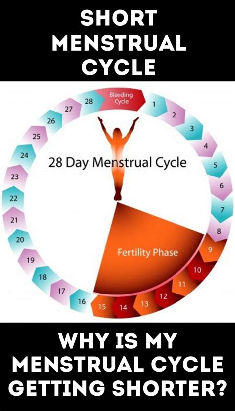 What Causes Your Period Cycle To Shortened
