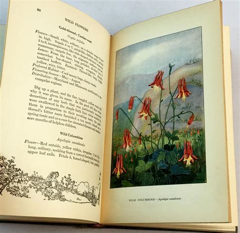 Lot 1926 The Nature Library Wild Flowers By Neltje Blanchan Illustrated