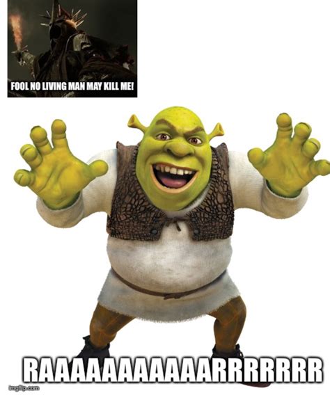 33 Hilarious Shrek Memes That Will Make You Laugh Out Loud Quirkybyte