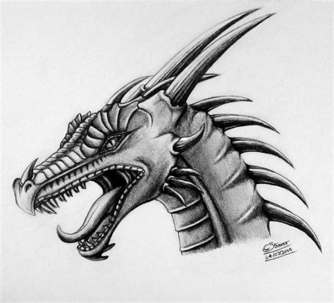 Dragon Head Drawing by LethalChris on DeviantArt