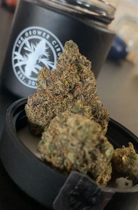 TREE OF LIFE WEED DISPENSARY - NORTH LAS VEGAS - 15 Photos & 43 Reviews