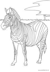 Ausmalbild tiere vier schmetterlinge kostenlos ausdrucken. Zebra als Malvorlage | Ausmalbilder Pferde - viele ...