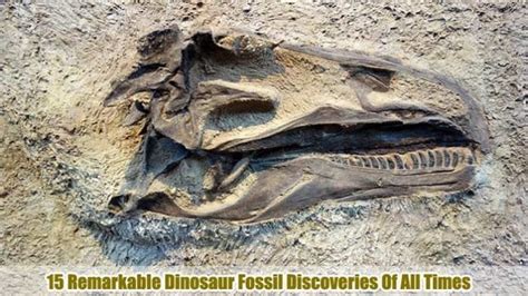 15 Best Dinosaur Fossil Discoveries Of All Times Bio Explorer