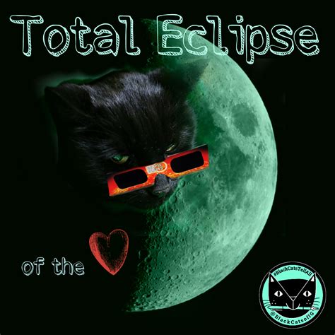 Total Eclipse Of The Heart Cats The Total Solar Eclipse Is Today But