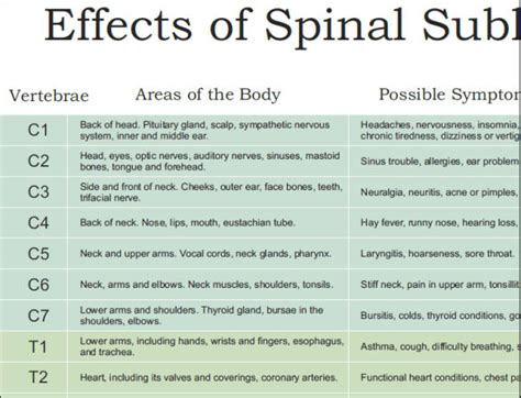 ans and effects of spinal subluxation poster 24 x 36