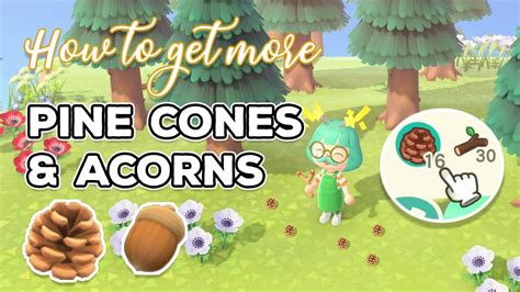 How To Get More Pine Cones And Acorns Animal Crossing New Horizons