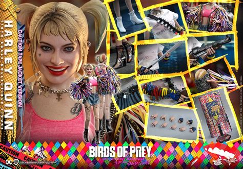 Movie Masterpiece Fully Poseable Figure: Birds of Prey (and the