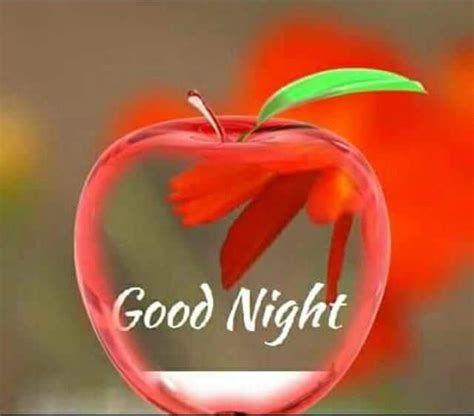 Pin By Rajesh Joshi On Good Night Good Night Flowers Good Night