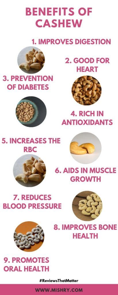 Benefits Of Cashew Nuts Kaju Everything You Need To Know
