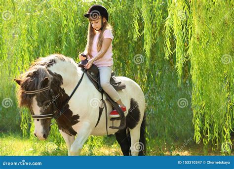 Cute Little Girl Riding Pony In Park Stock Image Image Of Horseback