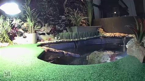 Indoor Turtle Pond Build Youtube