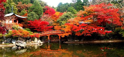 Japanese Autumn Daigo Ji Temple 醍醐寺 A Shingon Buddhist Temple In