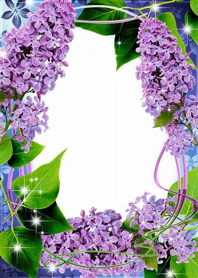 Transparent Frame Lilac Frames Clipart Flower Backgrounds