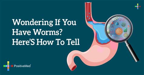 Wondering If You Have Worms Heres How To Tell Positivemed