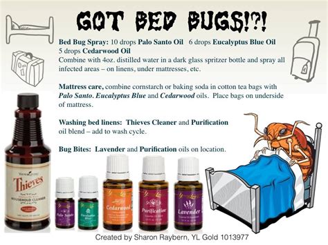 Additionally, bergamot oil can be amazing when it comes to treating bug bites. Bed Bug Spray: Bed Bug Spray Essential Oils