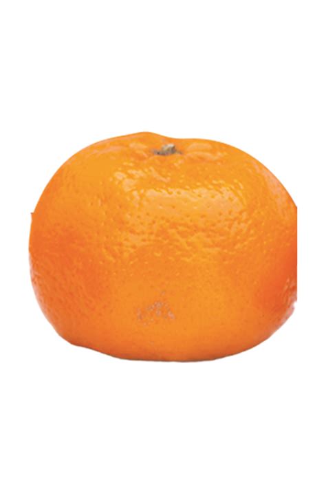 Mandarin Kinnow Non Palletized Citrus Fruits Pakistan Trade Portal