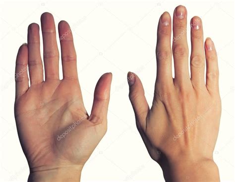 Womens Hands Palm And Back Stock Photo By ©violanda 71681599