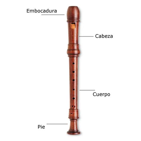 Flauta Dulce Origen Historia Partes Y Mucho M S