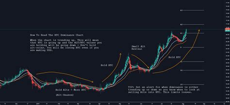 How To Read The Btc Dominance Chart And Why You Should Use It For