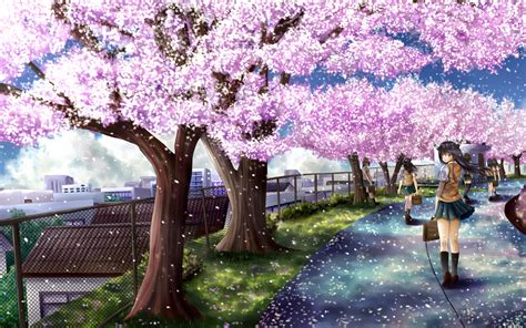 Sakura Tree Wallpaper Wallpapersafari