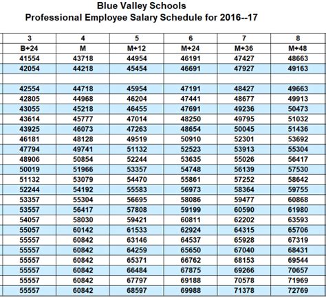 12 Professional Salary Schedule Templates Excel And Pdf Templates Show