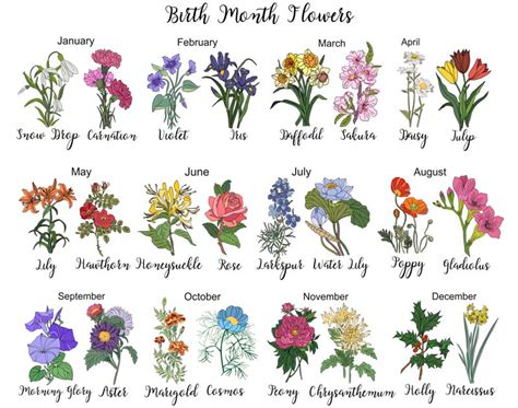 Birth Flowers For Each Month