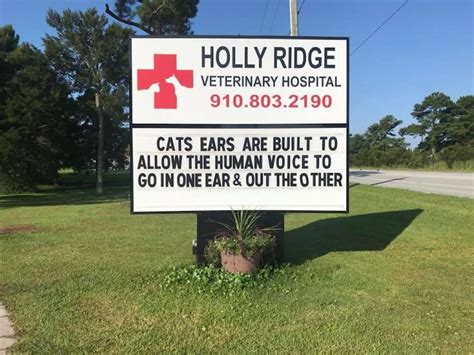 20 Of The Funniest Cat Jokes From Vet Clinic Signs