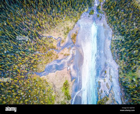 Aerial View Of Bow River Tributary In Forest Of Rockies Mountains