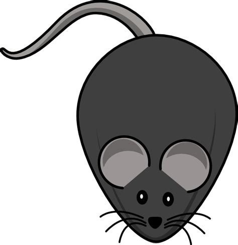 Rat Clipart Png Download Full Size Clipart 2708222 Pinclipart