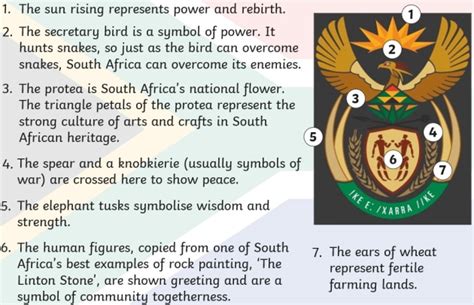 National Coat Of Arms Symbols South Africa Information