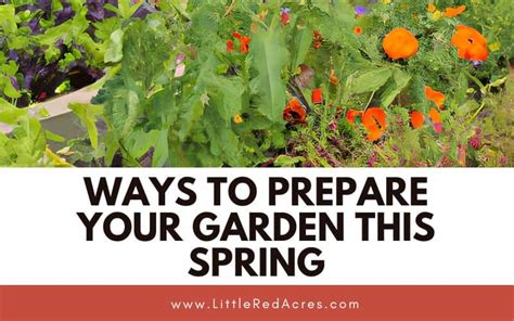 7 Ways To Prepare Your Garden This Spring