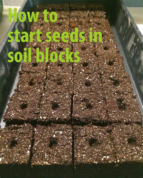 How To Start Seeds In Soil Blocks The Impatient Gardener