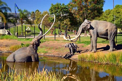La Brea Tar Pits And Museum Hours Tickets And History