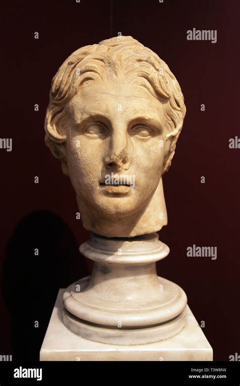 Head Of Alexander The Great At Istanbul Archeology Museum In Istanbul