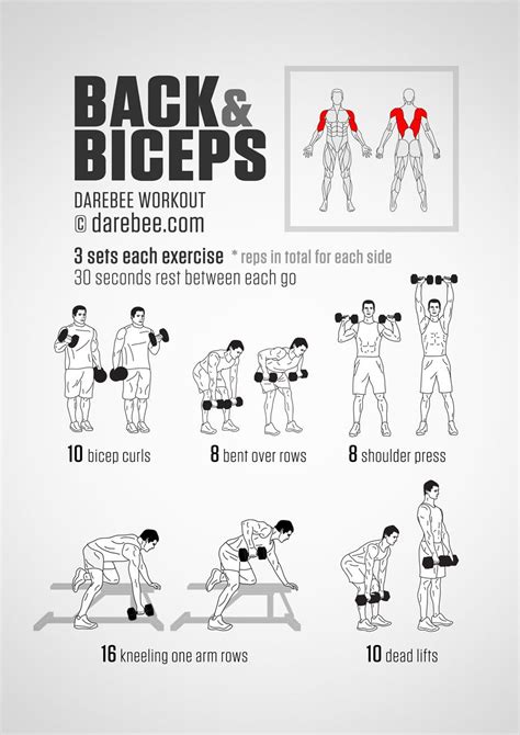Check spelling or type a new query. Back & Biceps Workout | Biceps workout, Back and bicep ...