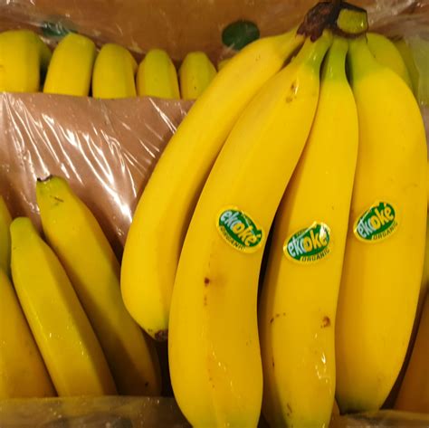 BIO Bananen - frisches früchtchen