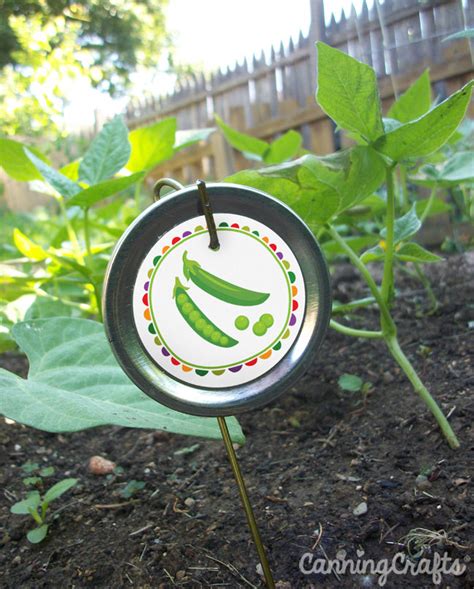 Free Printable Garden Markers Cute Diy Vegetable Row And Plant Markers