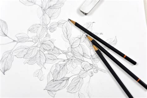 Pencil Beautiful Creative Drawing Ideas For Beginners Creative Bloq
