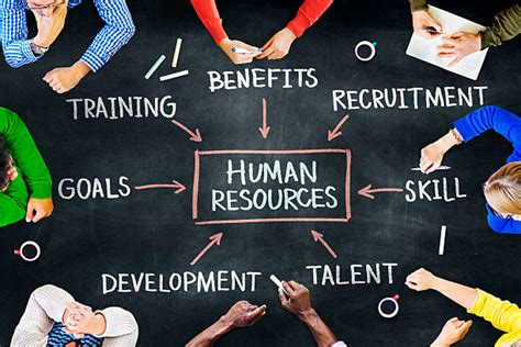 Human Resources Stock Photos Pictures And Royalty Free Images Istock