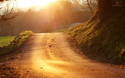 Road Landscape Sunlight Path Nature Wallpapers Hd