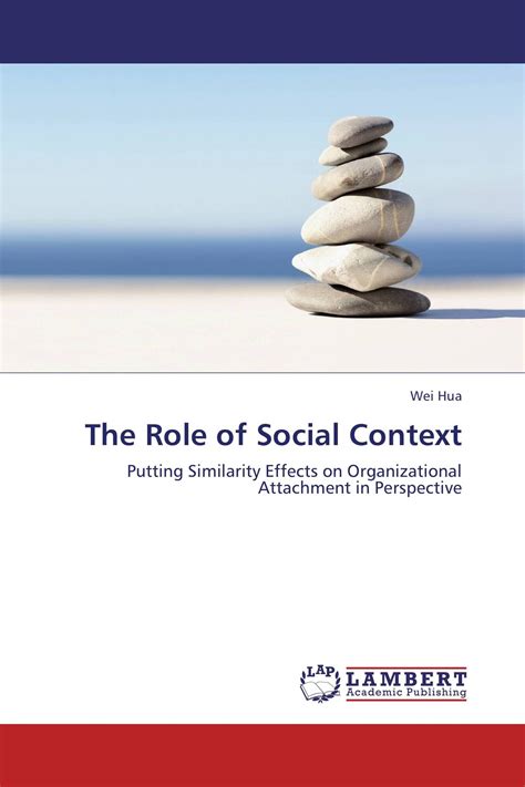The Role Of Social Context 978 3 8465 4334 4 9783846543344 3846543349