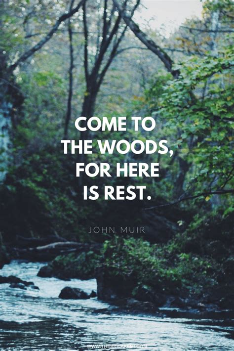 15 Beautiful Quotes About Nature And Wilderness To Inspire You John