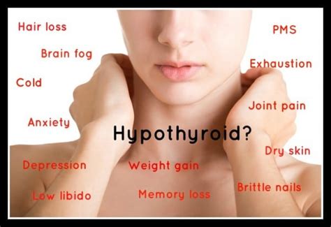How To Tell If You Re Thyroid Is Struggling And Tips To Help It