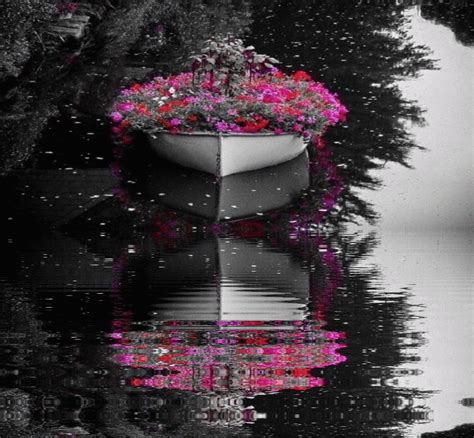 Beautiful Colorful Pictures And S Reflecting Water  Reflecion