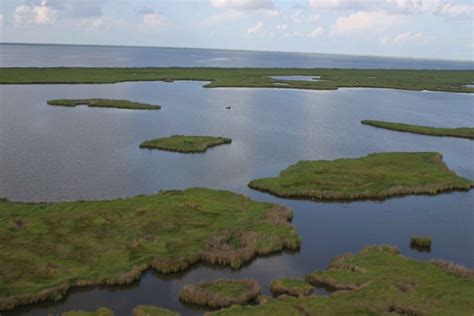 Free Picture Aerial Marsh