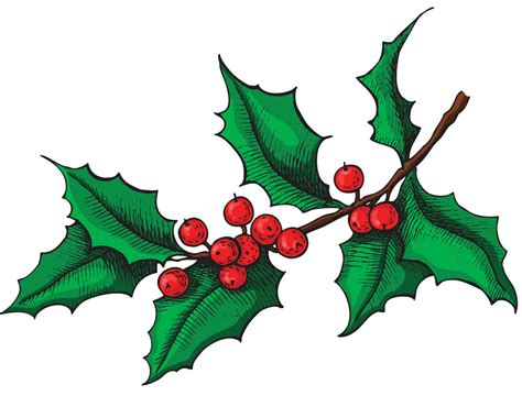 Isolated Holly Png Transparent Clipart World
