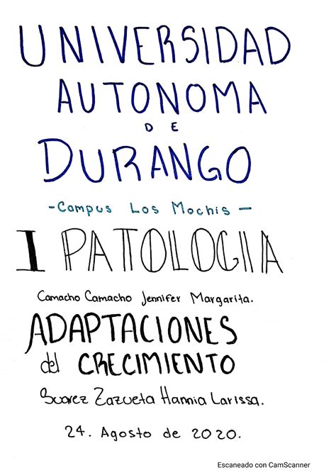 Adaptación morfologicas Patología Studocu