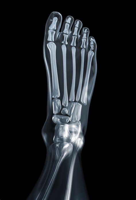 Treatment for Foot & Ankle Problems | Podiatrist in Ellicott City