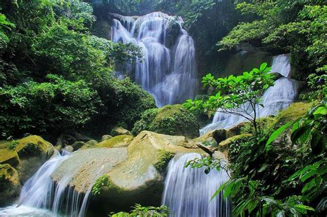 This park has a huge amount of wildlife and several two or. Air Terjun Samparona : Fasilitas, Rute, Jam Buka, Harga ...